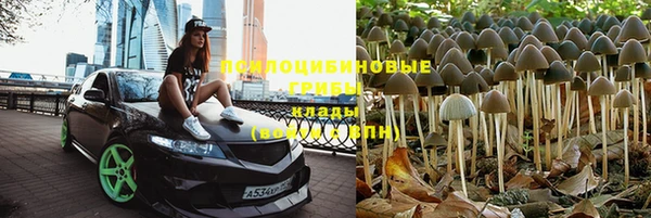 spice Балахна