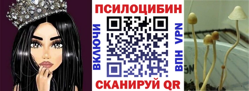 Галлюциногенные грибы Magic Shrooms  Орлов 