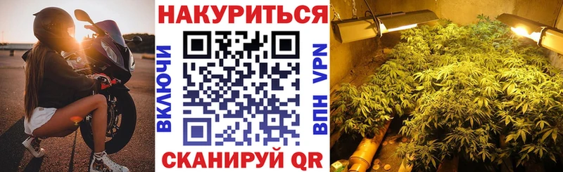 мориарти телеграм  Орлов  Шишки марихуана сатива  наркота  мега ССЫЛКА 